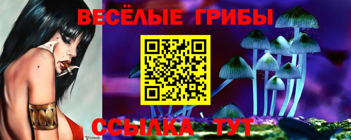 Галлюциногенные грибы GOLDEN TEACHER  Вход с VPN  Коломна 